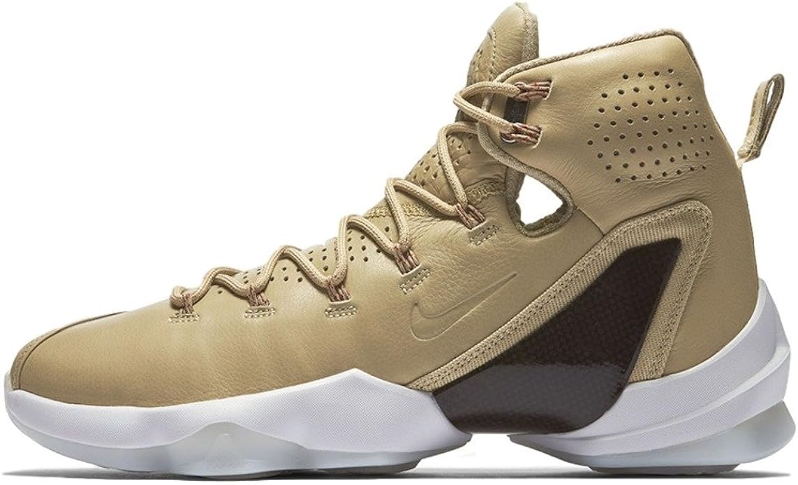 nike lebron trainers