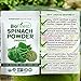 Biofinest Spinach Powder - 100% Pure Freeze-Dried Antioxidants Superfood - USDA Organic Vegan Raw Non-GMO - Boost Digestion Detox Immune System - For Smoothie Beverage Blend (4 oz Resealable Bag)