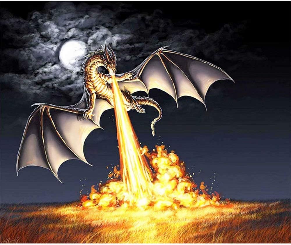 Diy Oil Painting Paint By Number Kit-Dragon,16X20 Inch