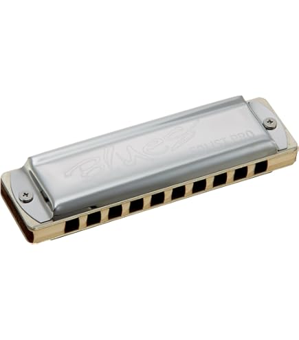 Amazon.com: Seydel Harmonica (Blues SOLIST PRO C) : Musical
