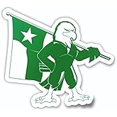 North Texas Sticker University of North Texas Car Decal Heavy-Duty Mean Green Scrappy Bumper Window Drink Tumbler Laptop Vinyl Eagle and Texas State Flag Logo
