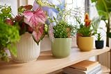 elho Vibes Fold Round Mini 7-100% Recyclable Pot Ø7.0 x H6.5 cm Green view 8