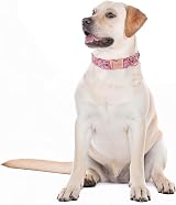 Unique Style Paws Strawberry Pink Dog Collar Small Medium Large UK Silk Fabric view 5