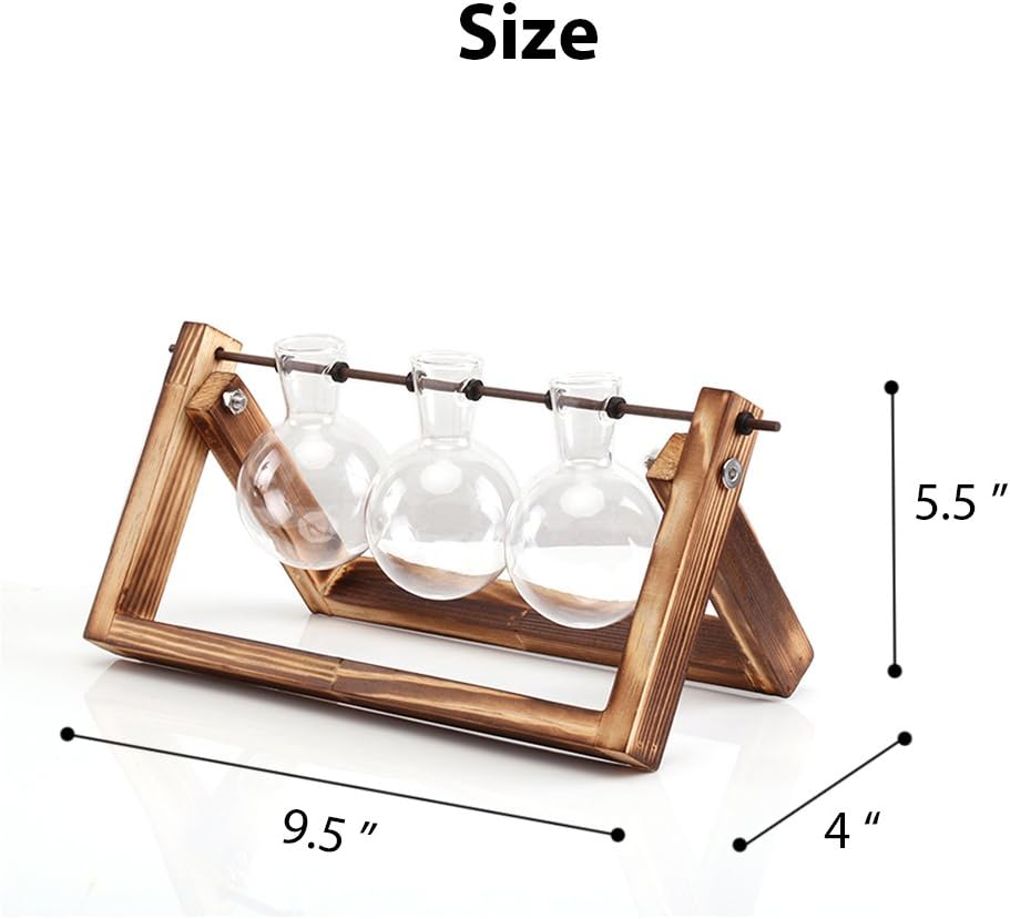 Ivolador Desktop Glass Planter Bulb Vase Bulb Plant Terrarium with Retro Solid Wooden Stand and Metal Swivel Holder for Hydroponics Plants Home Garden Wedding Decor (3 Bulb Vase): Pet Supplies