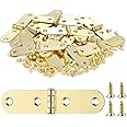 YCSJ 40 Pieces Decorative Brass Hinges Hardware for Jewelry Box,Hinge Jewelry Box Gold Small,Mini Brass Hinges for Handmade Crafts