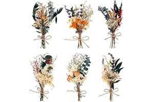 Fuyamp Mini Boho Dried Flower Bouquet Set of 6 Natural Dried Flowers Small Bouquets Real Plants Bundle Bohemian Flower for Wedding Photo Frame Gift Box Home Vase Decorations DIY Craft(About 5-7'')