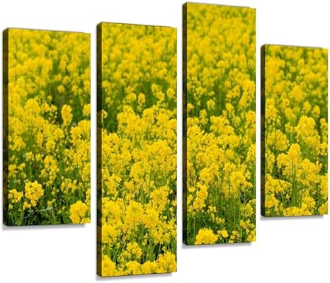 Amazon Co Jp アートパネル 菜の花の写真春 花 菜の花 菜の花畑インテリア 絵画 壁掛け ポスター キャンバス 部屋飾り アート 壁キャンバス 壁飾り 壁キャンバス絵画 おしゃれ 北欧 新築飾り お祝い 贈り物 ホーム キッチン