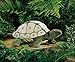 Folkmanis Tortoise Hand Puppet