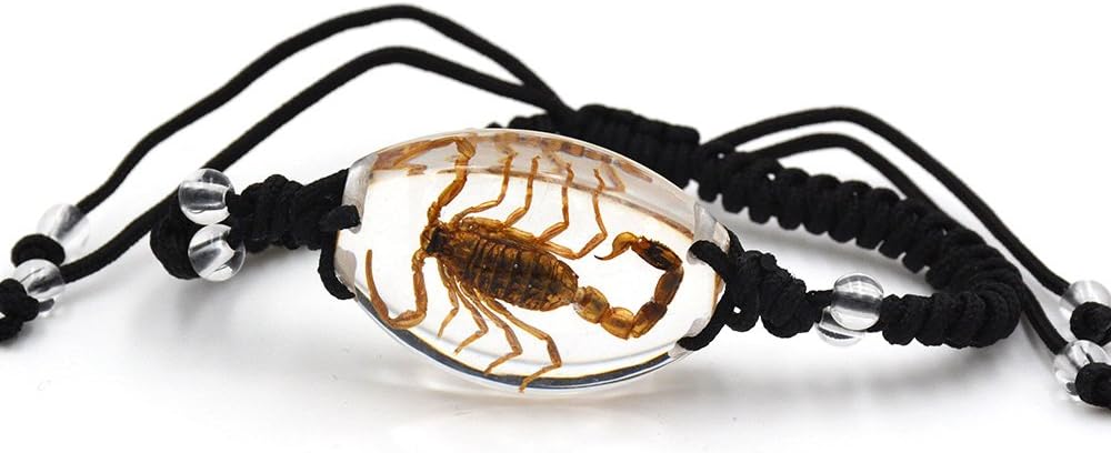 FOTTCZ Real Scorpion Necklace, Real Scorpion Pendant Necklace