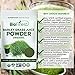 Biofinest Barley Grass Juice Powder - 100% Pure Freeze-Dried Antioxidant Superfood - USDA Organic Vegan Raw Non-GMO - Boost Energy & Immunity - for Smoothie Beverage Blend (4 oz Resealable Bag)