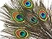 Moonlight Feather | 50 Pieces Natural Green Feathers - 10