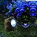 Moonrays 91211 Rock Solar Spotlight with Built in Key Hider, 6-Lumens.35-Watt, 120-degree Beam Angle, White LED Light, One Rechargeable NiCd Battery Included, 0