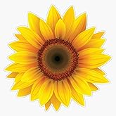 2-Pack Cool Sunflower Vinyl Waterproof Sticker - 4 Inches Glass Door Car Laptop Wall Window Bumper Sticker - Sunflower Car Decal