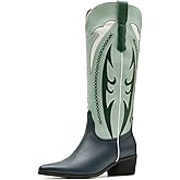 IDDIFADAI Cowboy Boots for Women Embroidered Knee High Western Womens Cowgirl Boots Chunky Heel Pointed Toe