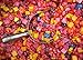 Starburst Fruit Chews - Ultimate 12 Flavor Variety - Tropical - Sweet Heat and Original - Bulk Wholesale (3 Pounds)