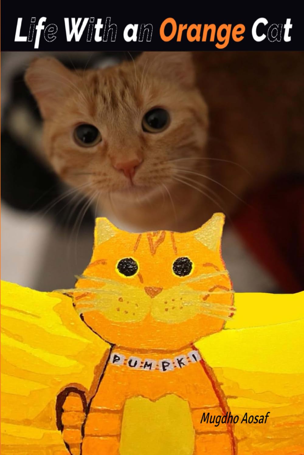 Life With an Orange Cat Life With an Orange Cat Paperback Kindle Hardcover