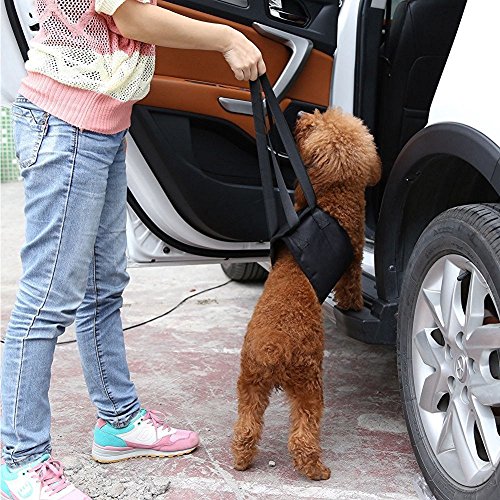 Paercute Dog Lift Harness - Adjustable Support Sling Straps Help with Loss of Stability Stand Up, Walk, Climb Stairs and Hop into Car. - Thumbnail 7