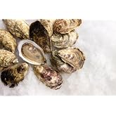 Salten Rock Live Oysters, 100 Count - Fresh East Coast Oysters with Sweet Seaweed Finish