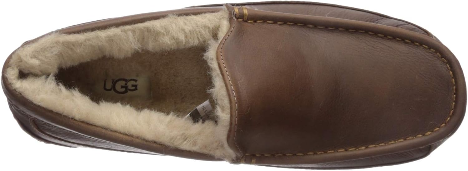  | UGG Men's Ascot Slipper | Slippers