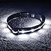 Blazin Light Up Dog Collar - The Original LED Dog Collar - USB Rechargeable - Waterproof - 1,000 Feet of Visibility - Dog Collar Light for Small, Medium, Large Dogs - USA Brand