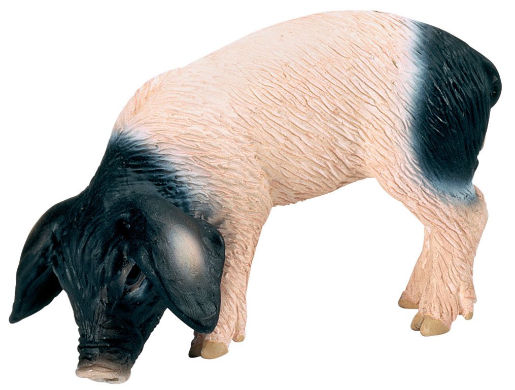 Schleich Swabian-Hall Piglet Eating