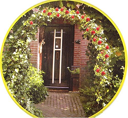 Hi Gartenbogen für Kletterpflanzen und Rosen – 140 x 240 x 37 cm – Gartentor – Rosenbogen Metall – für EIN Märchenstück im Garten – Bild 2