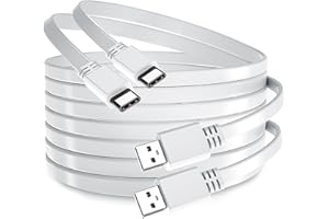 Basesailor USB A to USB-C Charger Cable 30FT 2 Pack,Long Flat Type-A 2.0 to USBC Charging Power Cord Compatible for Blink Out