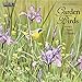 Garden Birds 2018 Calendar by 
