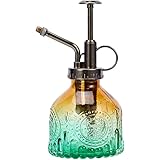 Ebristar Glass vintage Plant Spritzer Spray Bottle, Succulent Watering Bottle with Top Pump, Small Plant Sprayer Mister Water