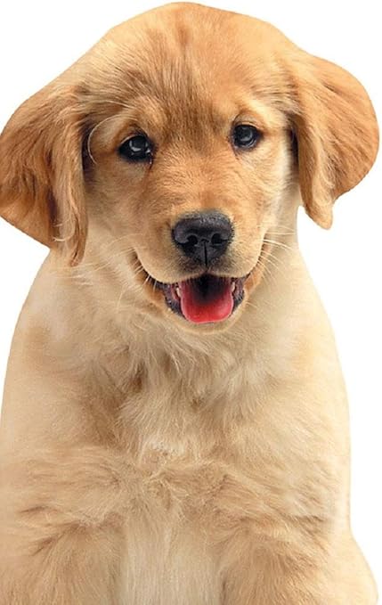 Amazon Com Playhouse Golden Retriever Puppy Die Cut Shaped Pocket