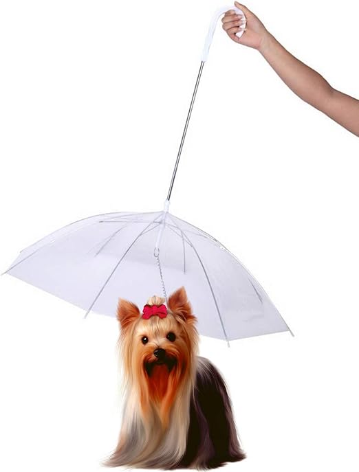 small dog umbrella