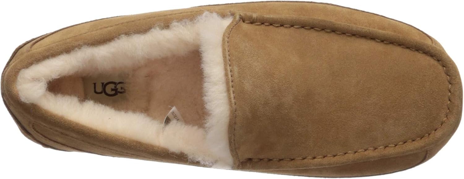  | UGG Men's Ascot Slipper | Slippers