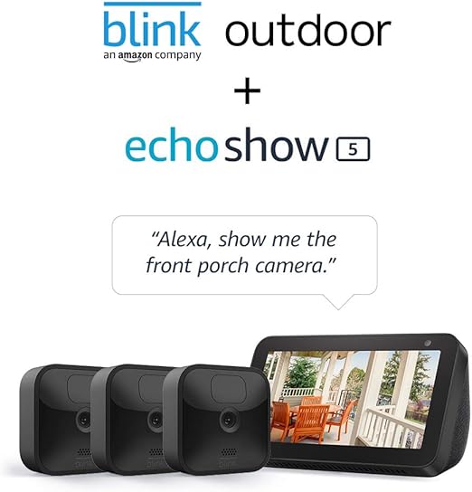 alexa show blink camera