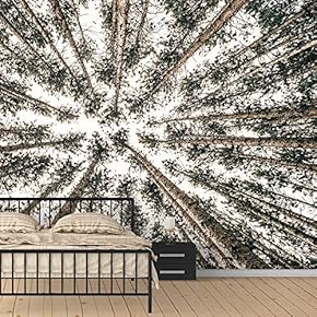 Wall Murals for Bedroom Dreamwork Beautiful Removable Wallpaper Peel and Stick Wall Stickers - 66x96 inches