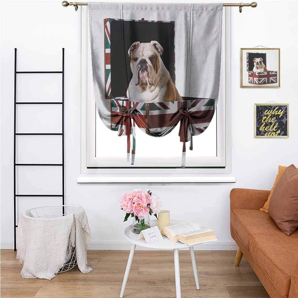 English Bulldog Modern Roman Curtain Cute Bulldog Sitting in Union Jack Britain Themed Box Patriotic Design Easy to Install W42 x L72 Inch Multicolor