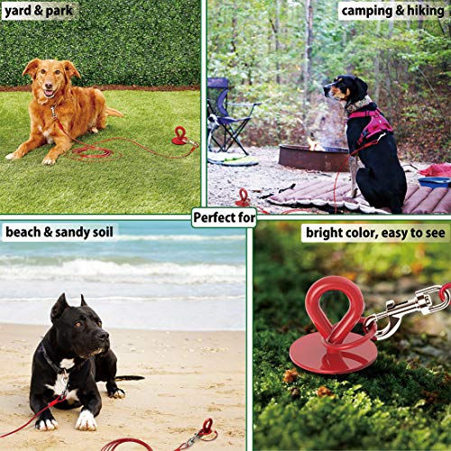 30 Ft Dog Tie Out Cable and Stake Heavy Dog Yard Leash and Stake for