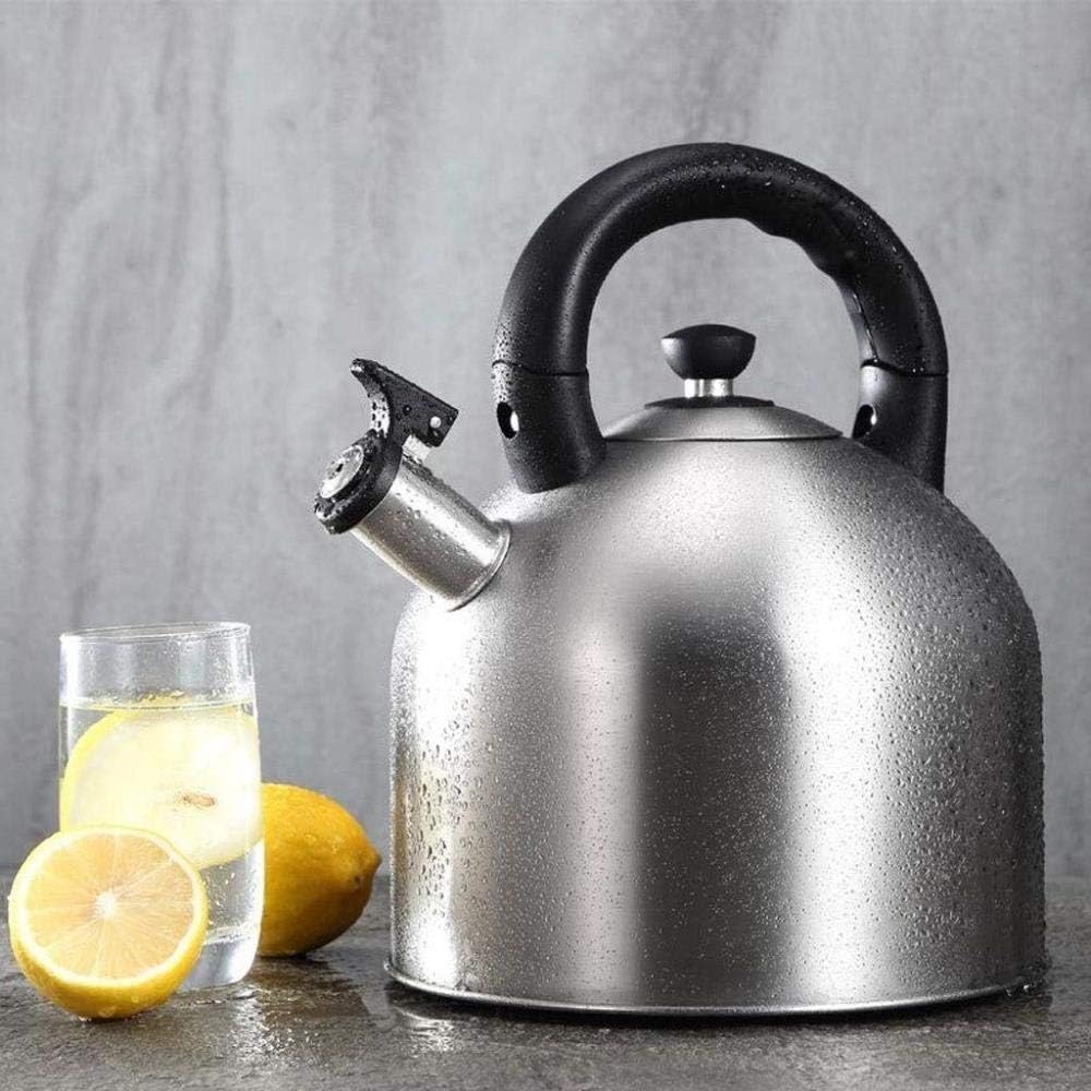 Large Capacitymodern Whistling Stovetop Kettle, 304