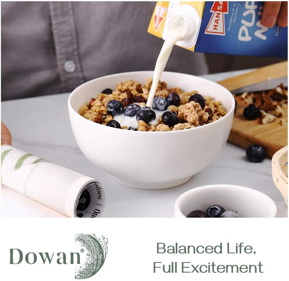  | DOWAN Ceramic Soup Bowls, Cereal Bowl, 22 Ounce Bowls Set, Chip Resistant, Dishwasher & Microwave Safe, Porcelain Bowls for Kitchen, White Bowls for Cereal Soup Rice Pasta Salad Oatmeal, Set of 4: Cereal Bowls