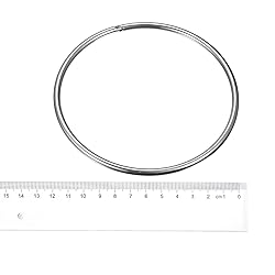 Unifizz 304 Stainless Steel Welded O Ring