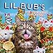 Lil Bub 2017 Wall Calendar