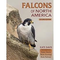 Falcons of North America: Davis, Kate, Dunlop, Nick, Palmer