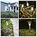 Oak Leaf Solar Lights Outdoor Pathway Lights for Sidewalk Garden Patio Walkway Driveway, Warm White, Gunmetal, 12-Pack