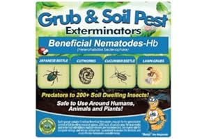 BUG SALES 25 Million Live Beneficial Nematodes Hb - Soil Pest Exterminator