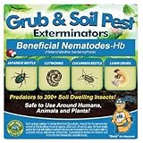 Bug Sales Beneficial Nematodes Hb Heterohabditis