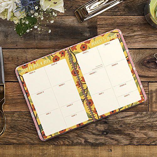 Orange Circle Studio 2019 On-Time Weekly Planner, August 2018 - December 2019, Potpourri