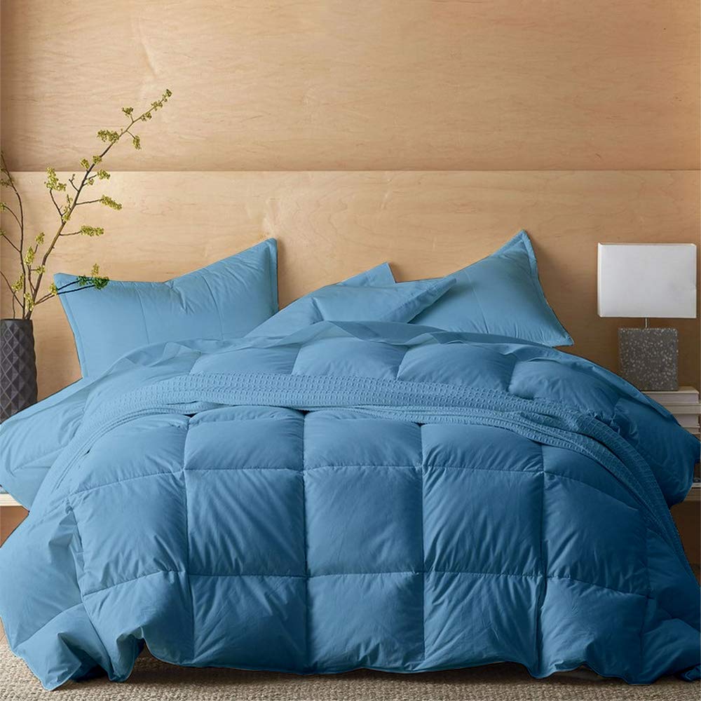 Kotton Culture Down Alternative Comforter 600 TC Organic Cotton Exterior | Super Soft Premium Quality Microfiber Filling | Box Stitched Duvet (Custom Size, Sky Blue)