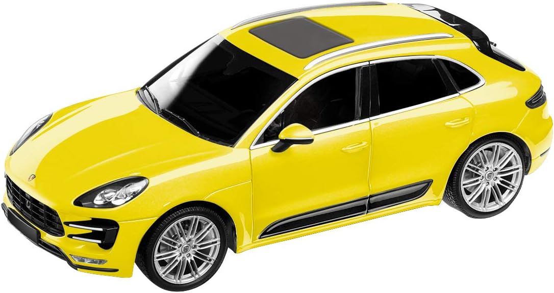 mondo motors rc cars