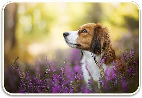 Amazon 犬玄関マット 屋外 外用 ラバーマット エントランスマット 玄関マット オンライン通販