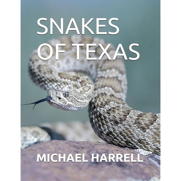 TEXAS BUG BOOK GOOD BAD UGLY 2005年の改訂版 TEXAS BUG BOOK GOOD BAD UGLY 2005年の改訂版 Texas Bug Book