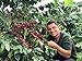 Guatemala Direct Trade Coffee Bag 5 lb Whole Bean Fresh Roasted